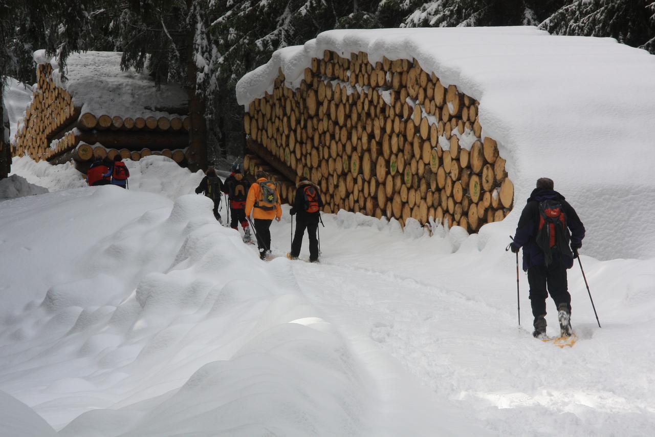 Gasthof Edelweiss Тирес Экстерьер фото